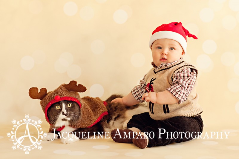 Baby Christmas Portraits